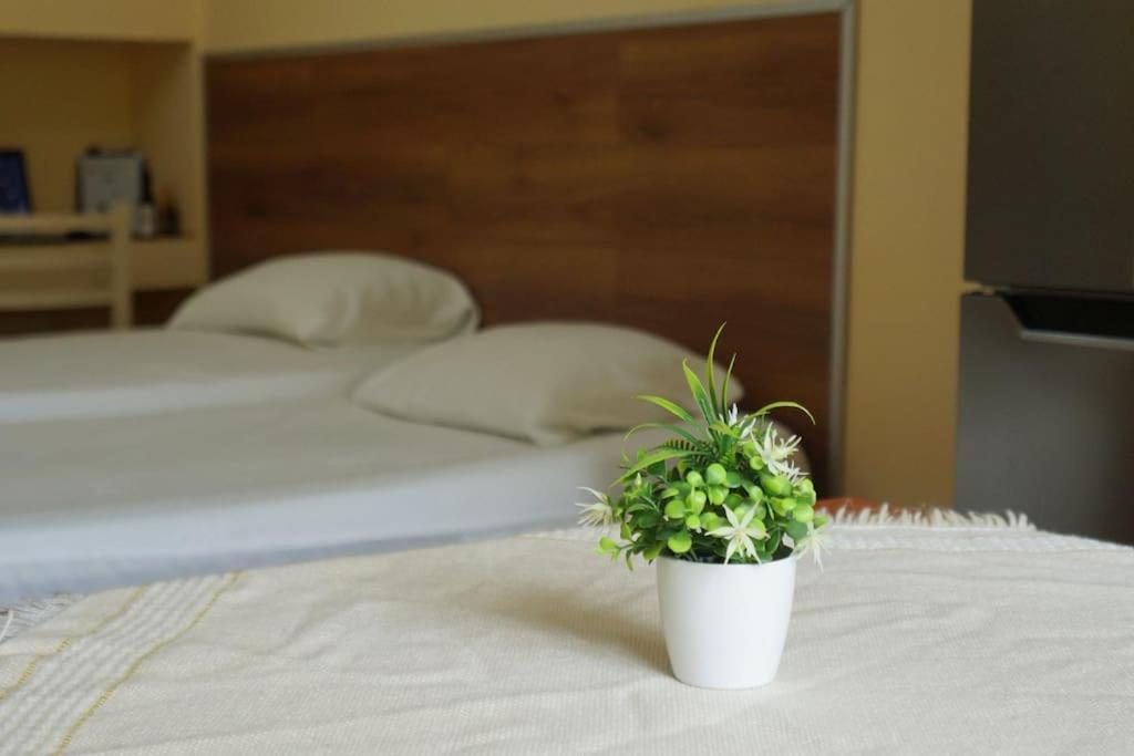 Alle'S M Shyri Studio Apartment Tirana Exterior photo