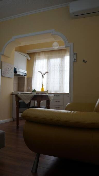 Alle'S M Shyri Studio Apartment Tirana Exterior photo